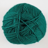 WYS - Signature 4 Ply - 1006 Spruce